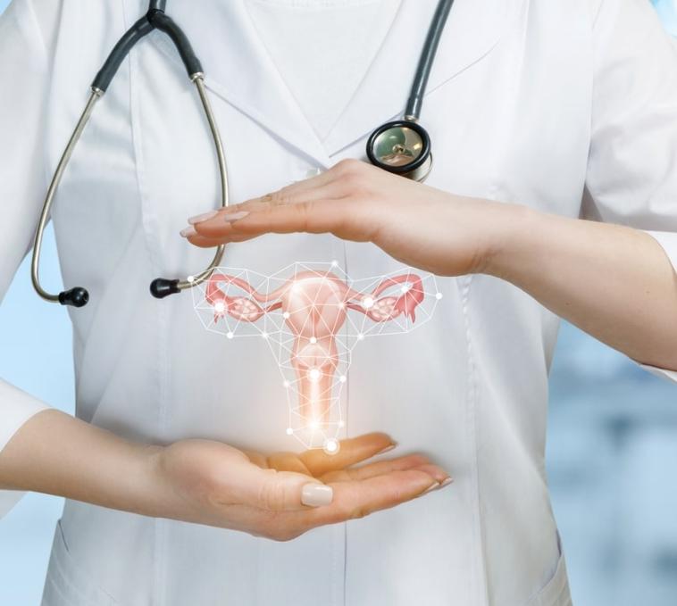 Aesthetic gynecology_1