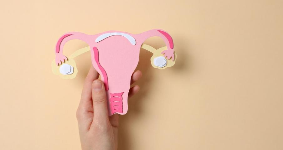 Aesthetic gynecology_3